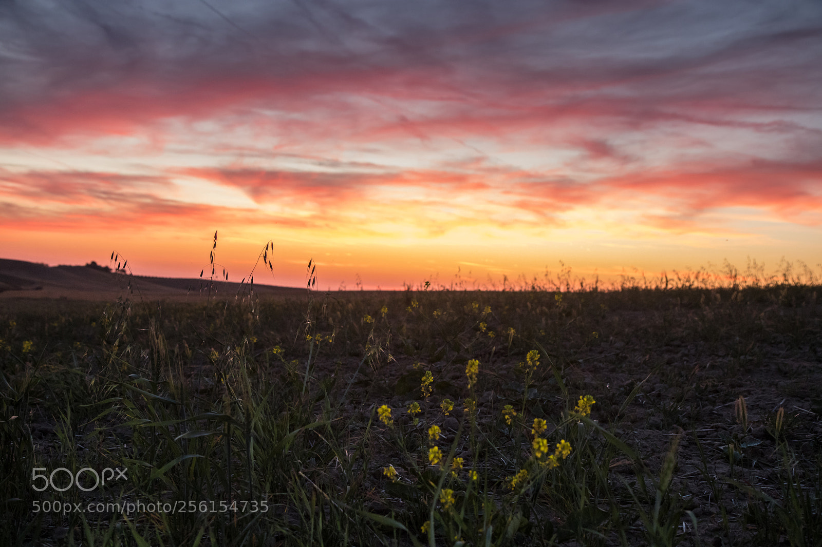 Canon EOS 80D sample photo. Red sky photography