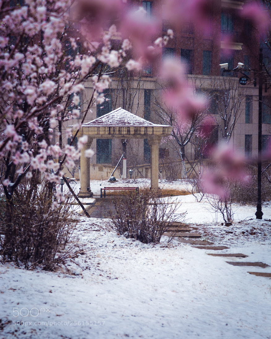 Canon EOS 6D sample photo. Img photography