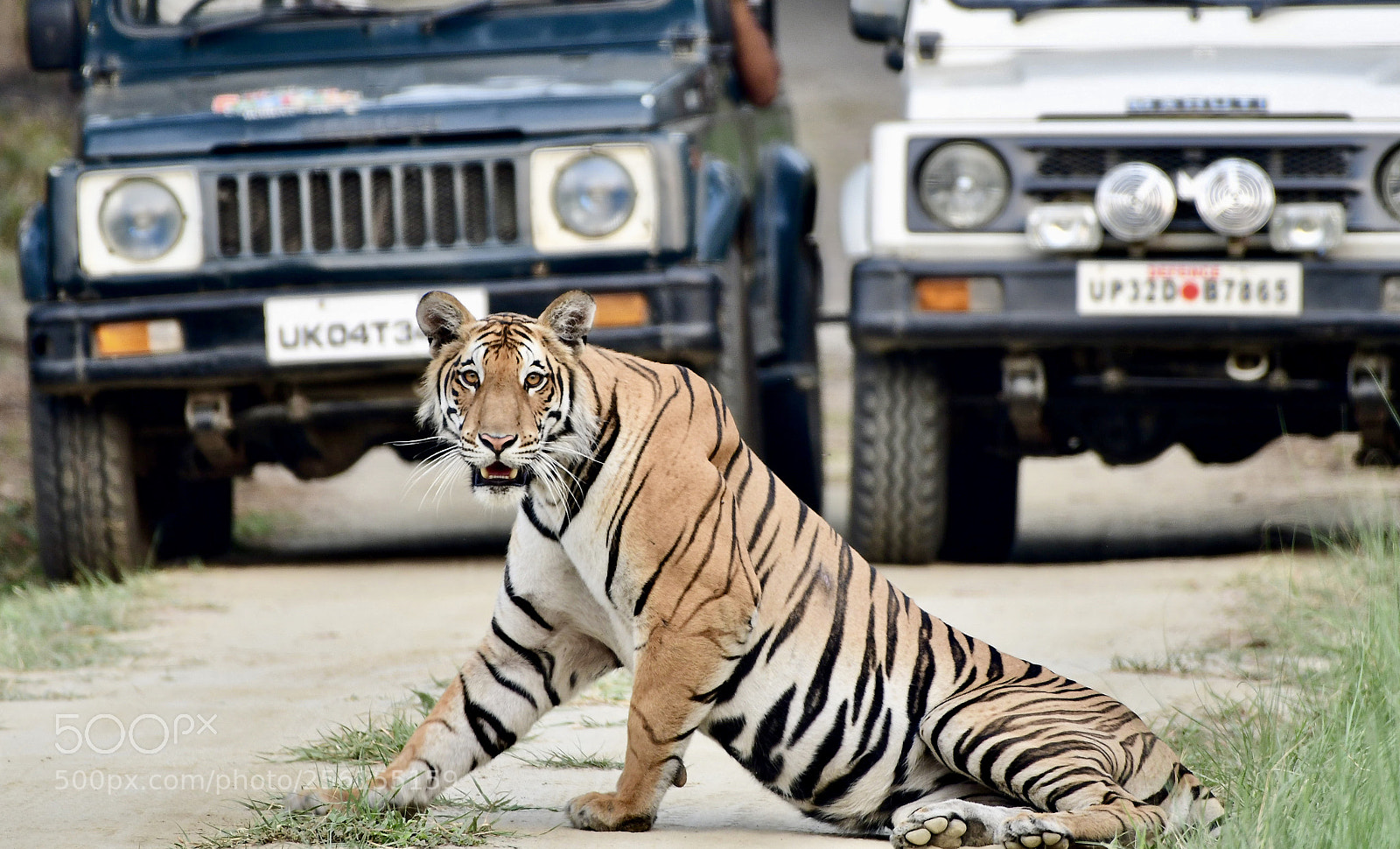 Nikon D500 sample photo. The approach photography