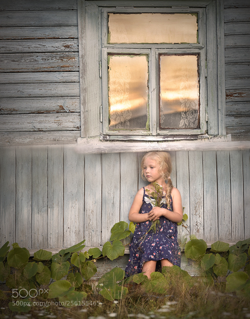 Nikon D750 sample photo. Свет в окне photography
