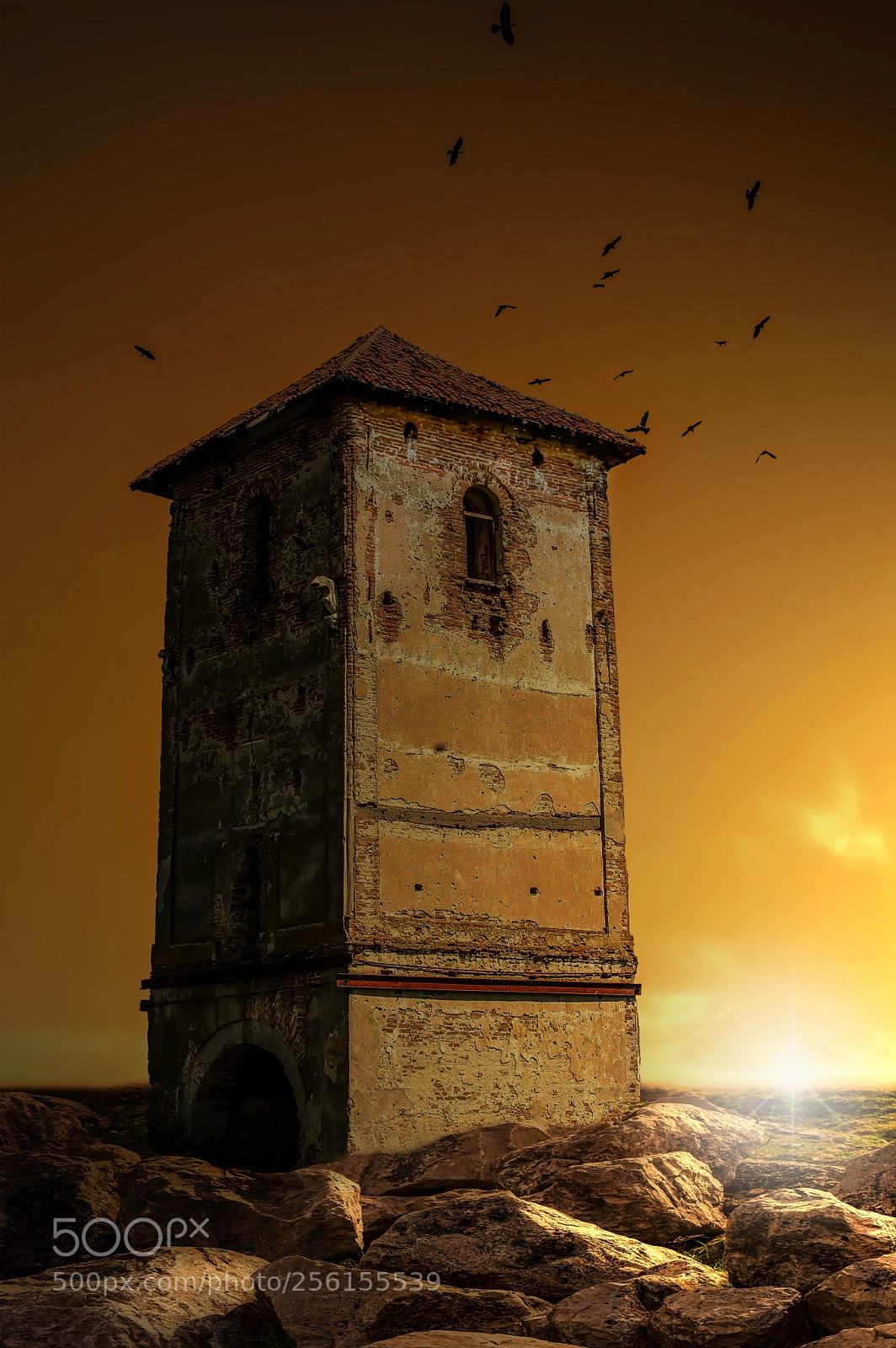 Nikon D3200 sample photo. The medieval tower of photography