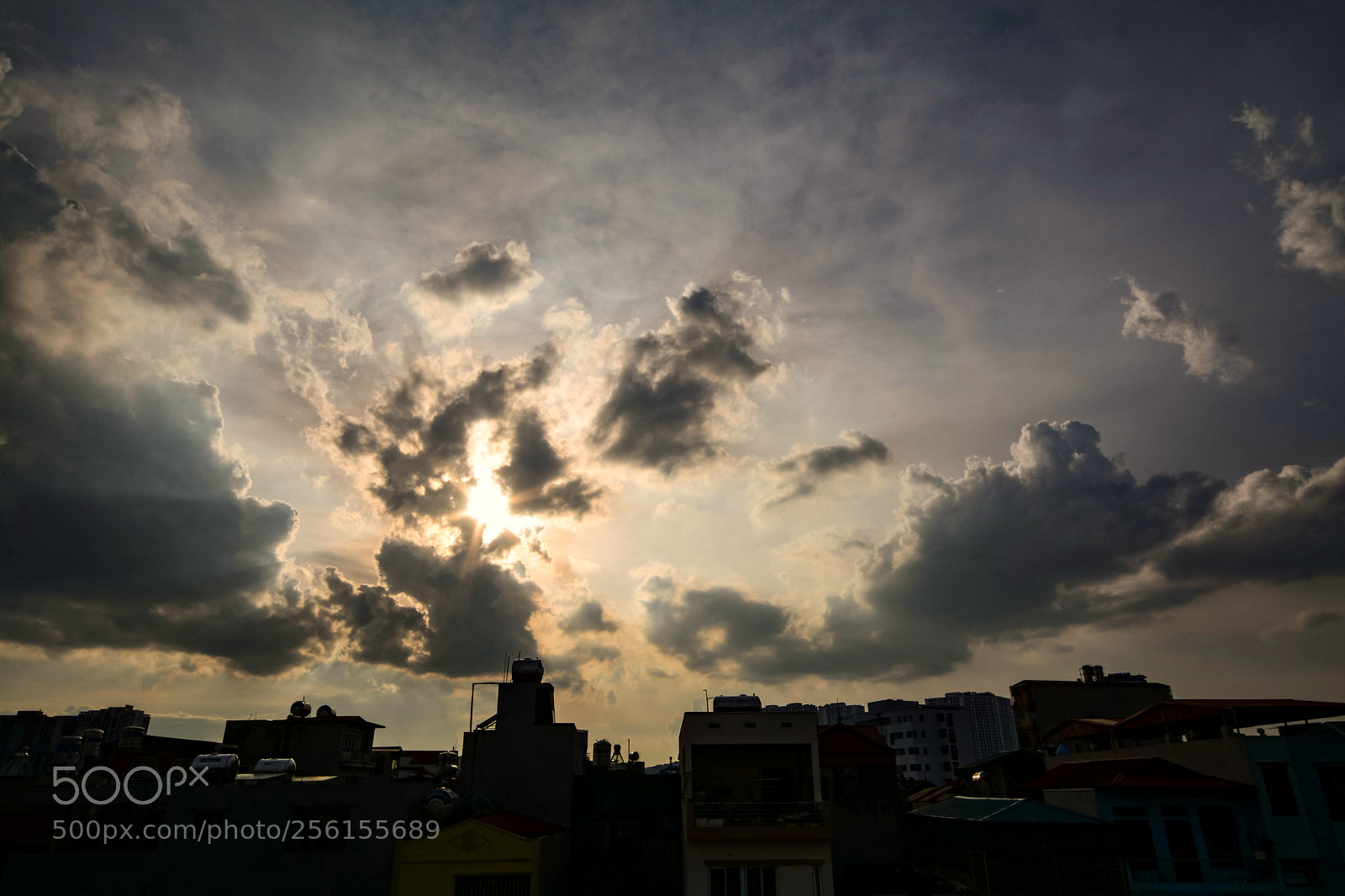 Nikon D7100 sample photo. Untitled photography