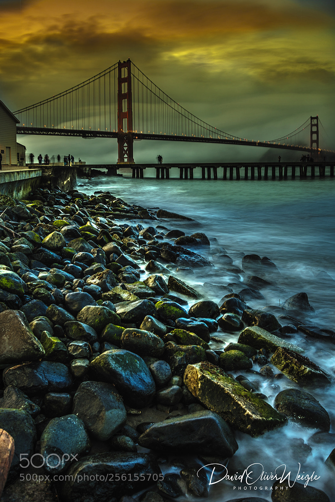 Nikon D810 sample photo. Foggy golden gate evening photography