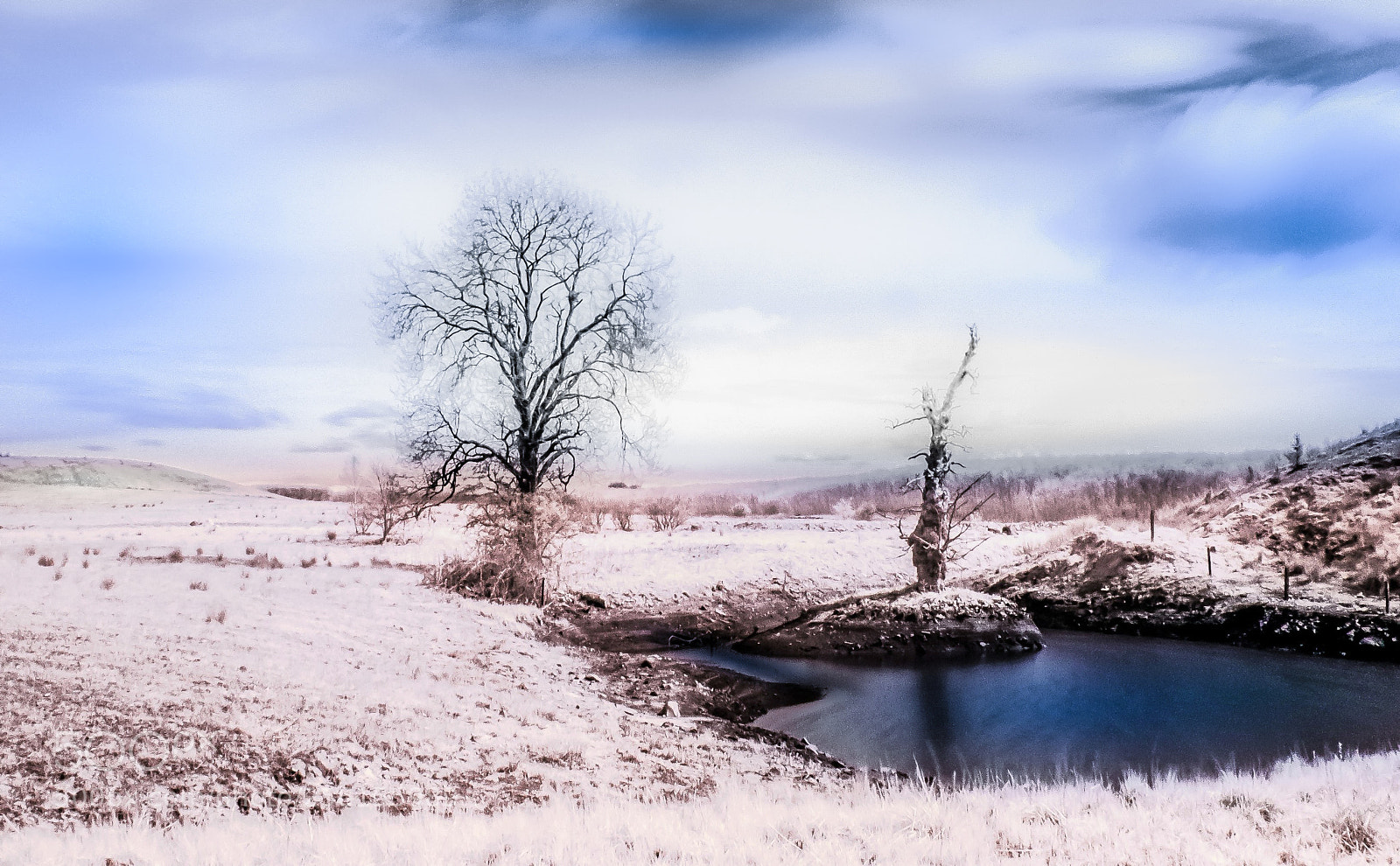 Canon PowerShot G16 sample photo. Infrared world photography