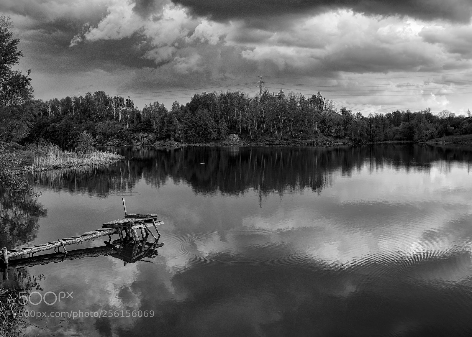 Nikon D800E sample photo. Water mirror photography
