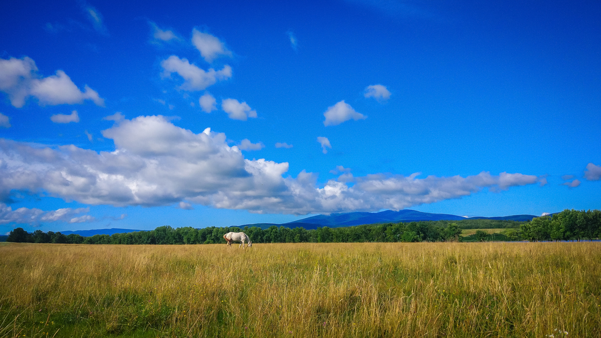 Xiaomi MI 5 sample photo. The land of ukraine photography