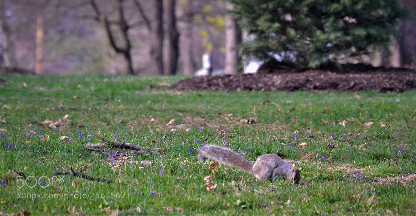 Nikon D3100 sample photo. Nature photography