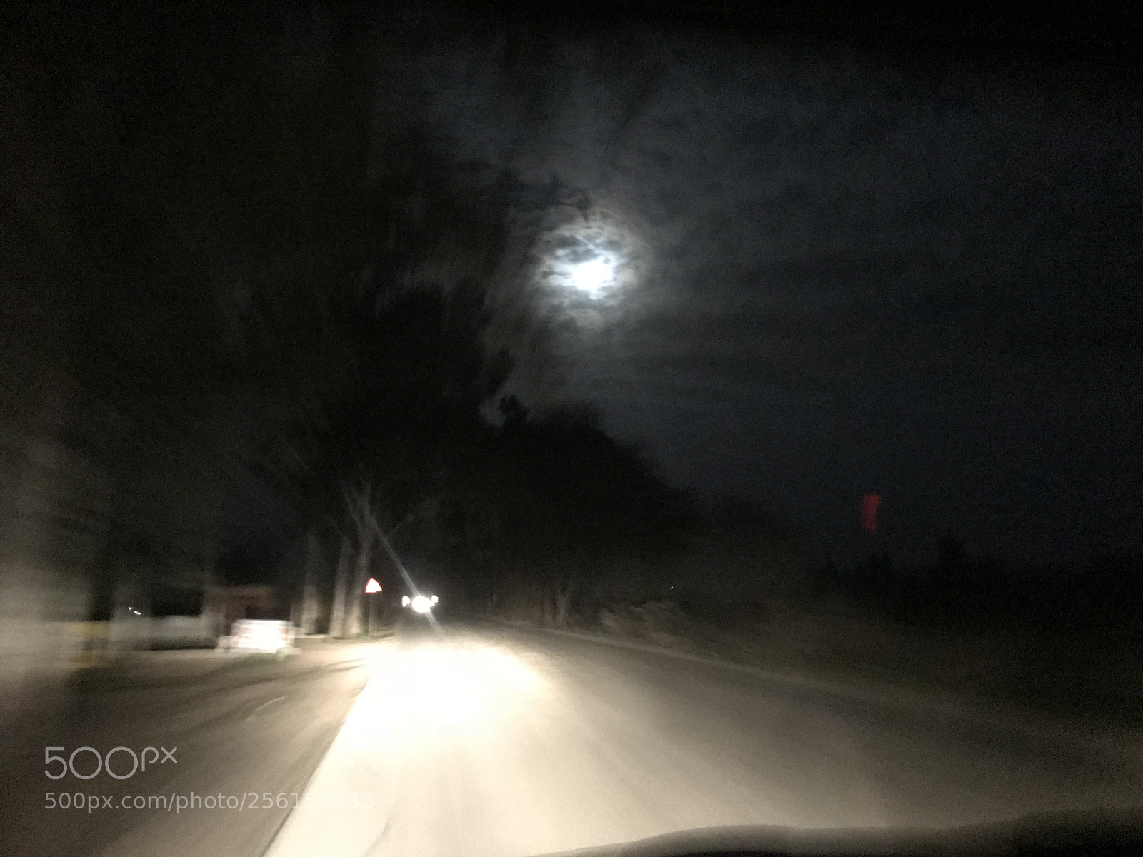 Apple iPhone 7 sample photo. Alive#lights  photography