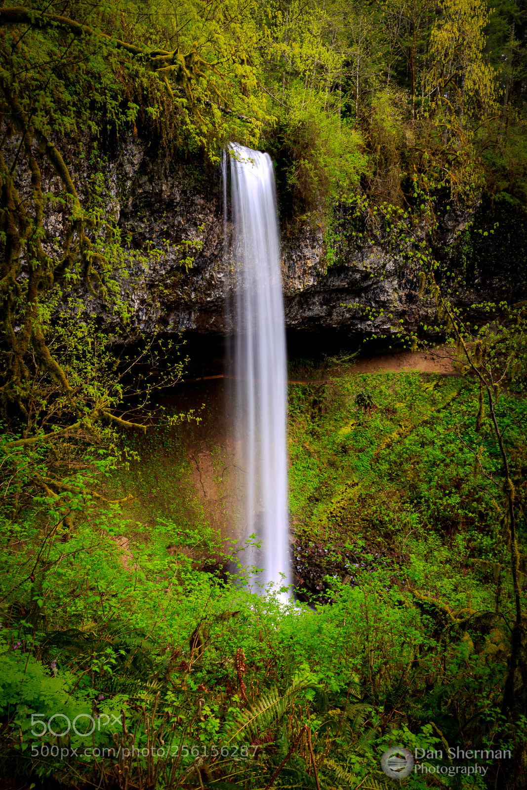 Canon EOS 6D sample photo. Shellburg falls photography