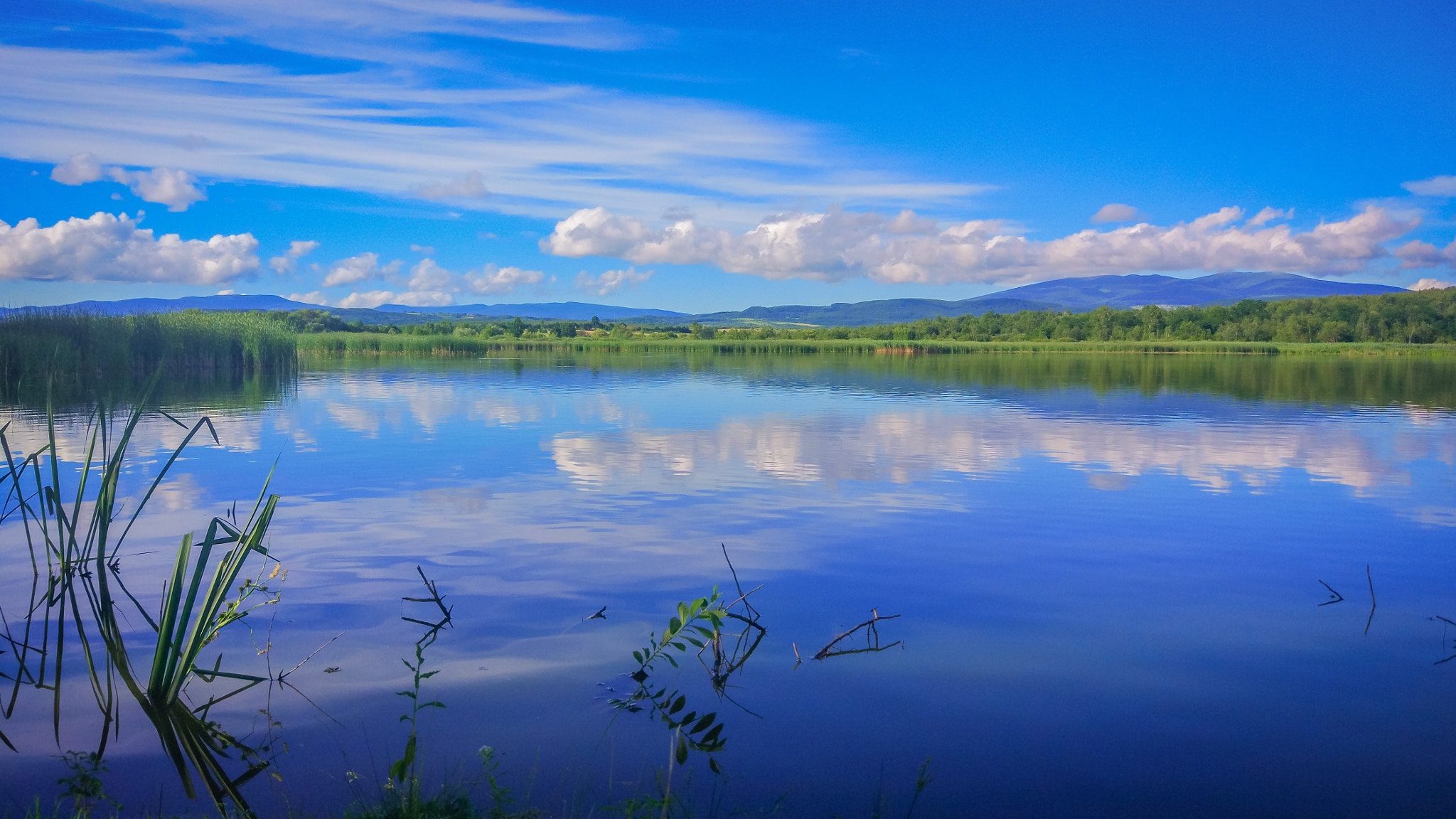 Xiaomi MI 5 sample photo. Sunny transcarpathia photography