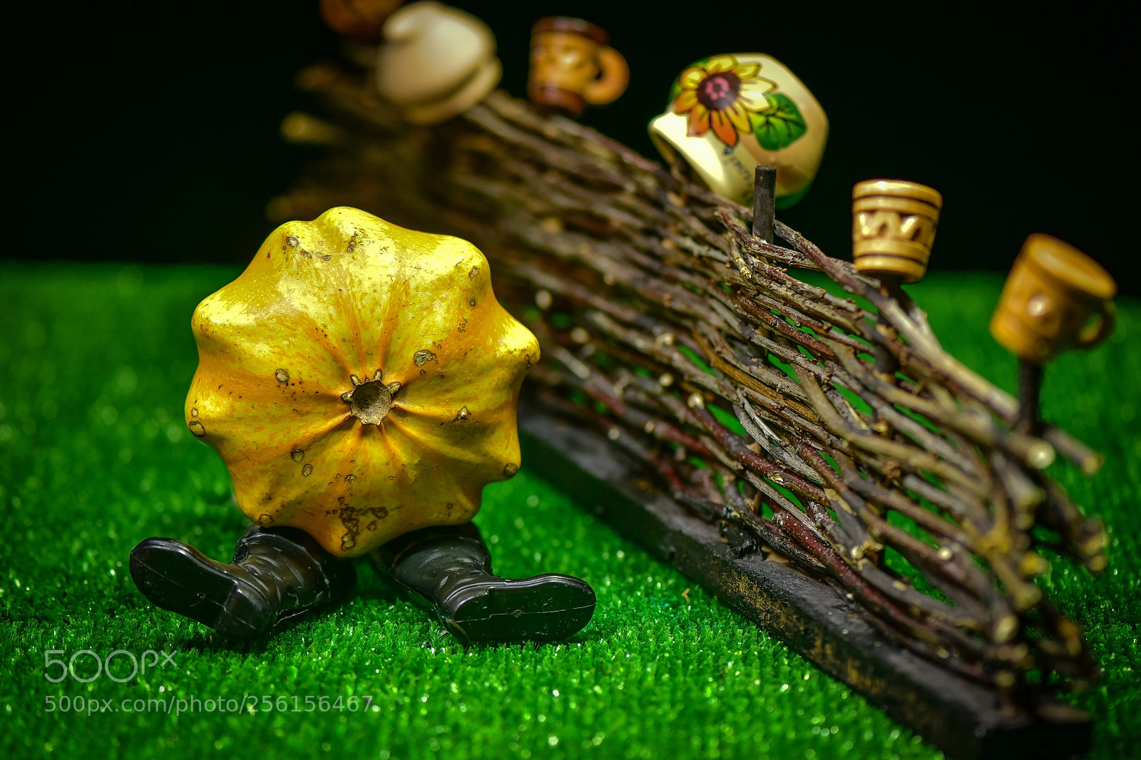 Nikon D750 sample photo. Failure photography