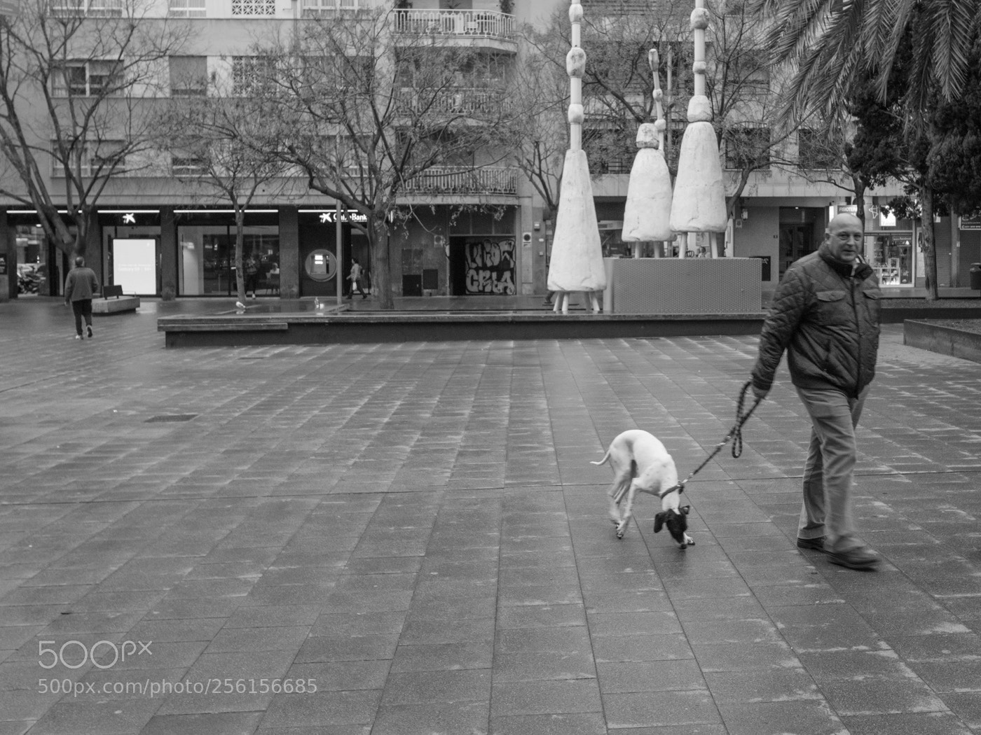 Panasonic Lumix DMC-GX8 sample photo. Palma photography
