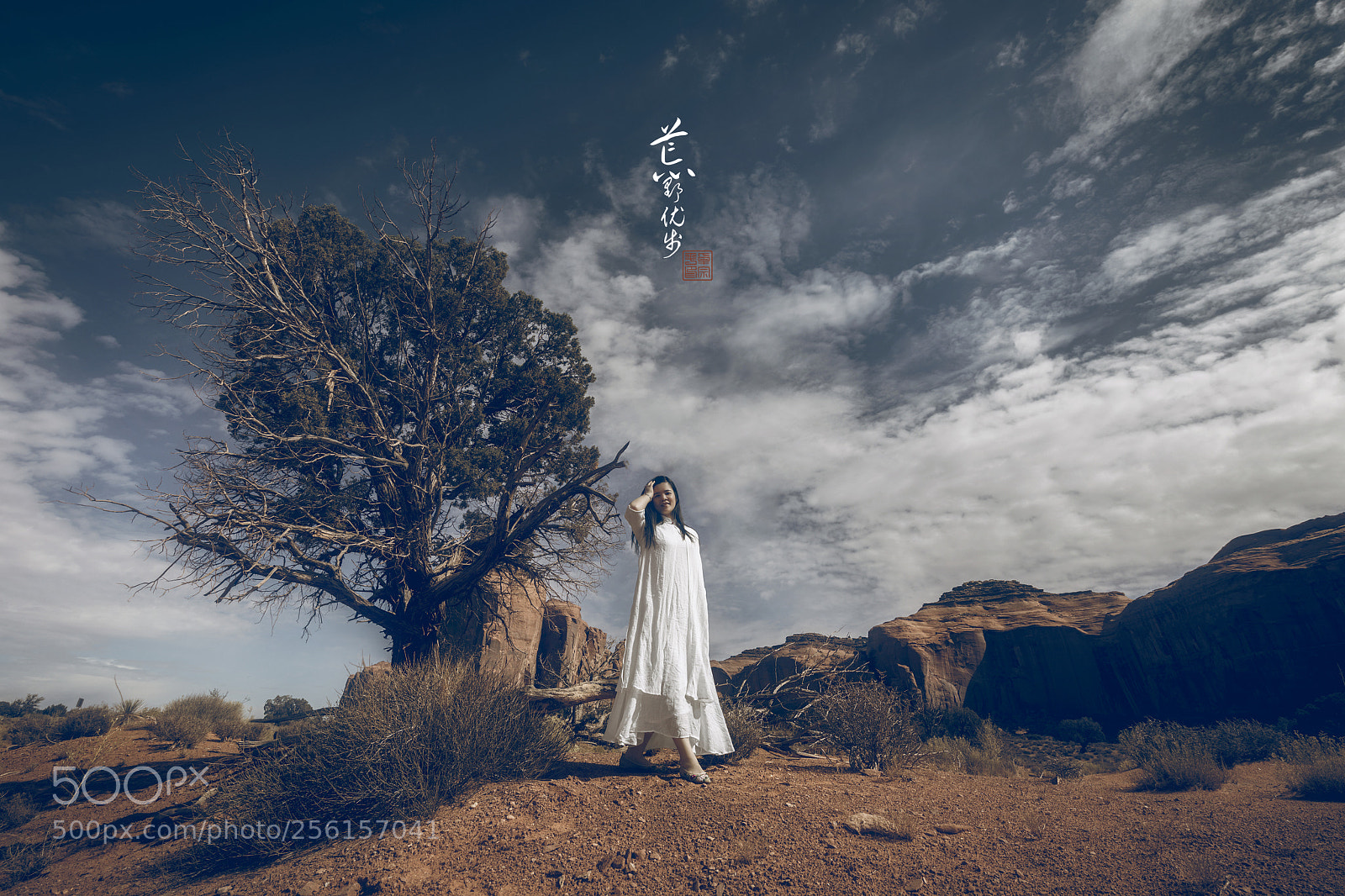 Canon EOS 5D Mark IV sample photo. 荒野优步 photography