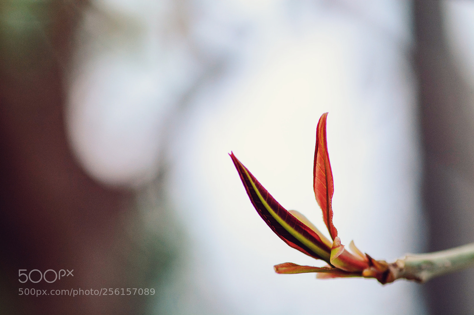 Nikon D7100 sample photo. Untitled photography