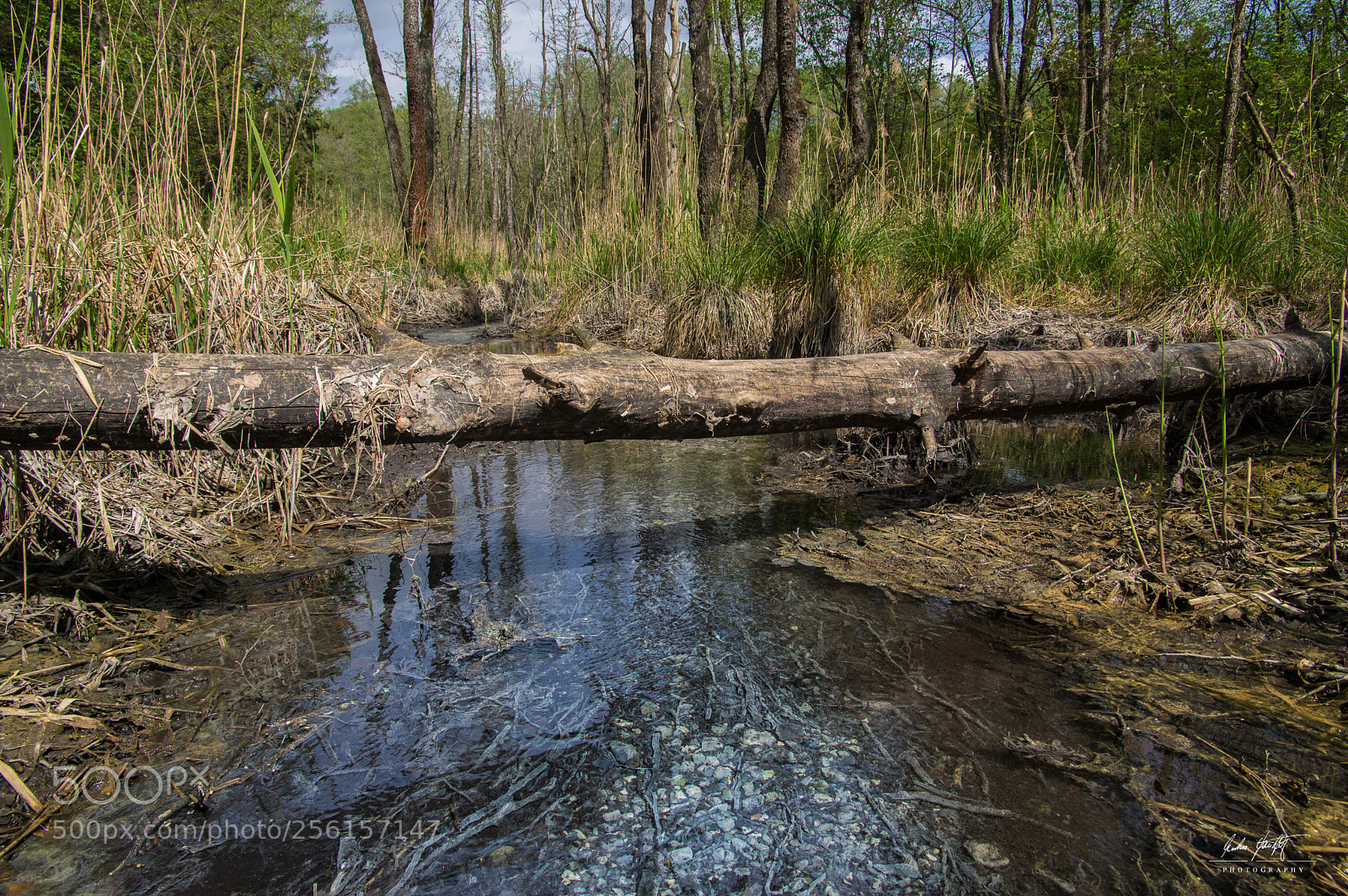 Pentax K-3 II sample photo. Sulfuric waters photography