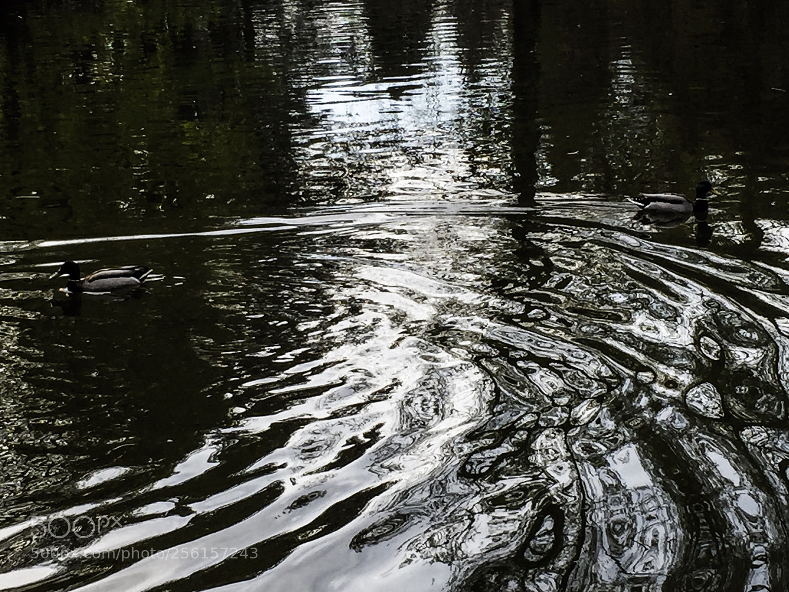 Apple iPhone 6 sample photo. Untitled photography