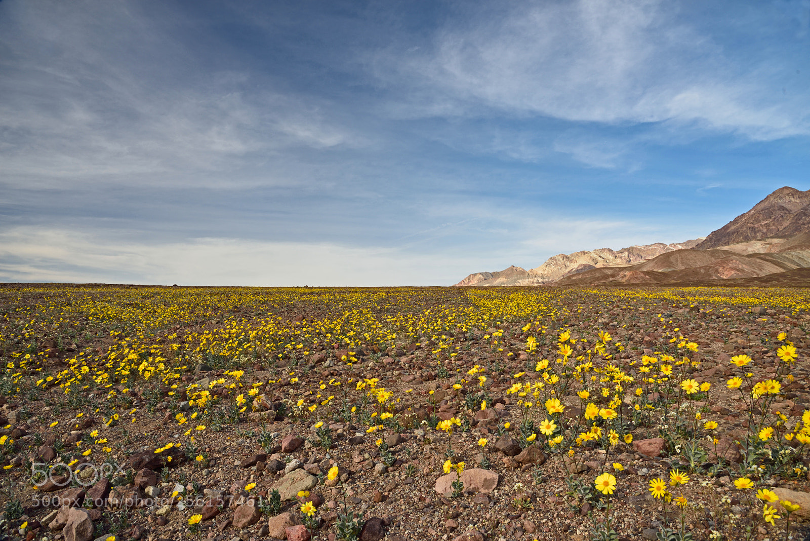 Nikon D750 sample photo. Death valley photography