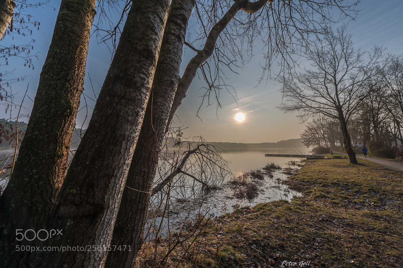Nikon D850 sample photo. Dechsendorfer weiher photography