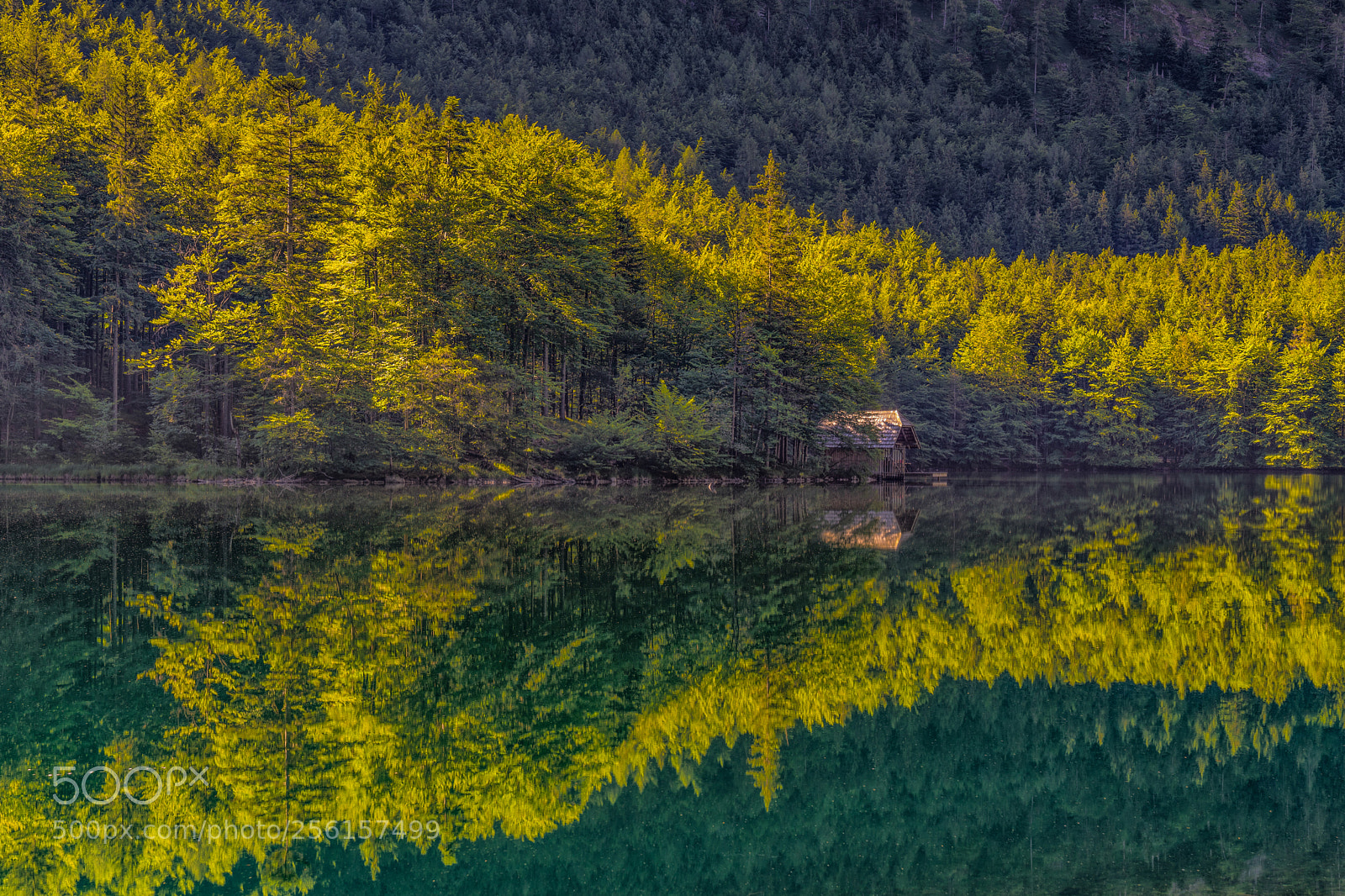 Sony a7R II sample photo. Langbathsee spiegelung photography