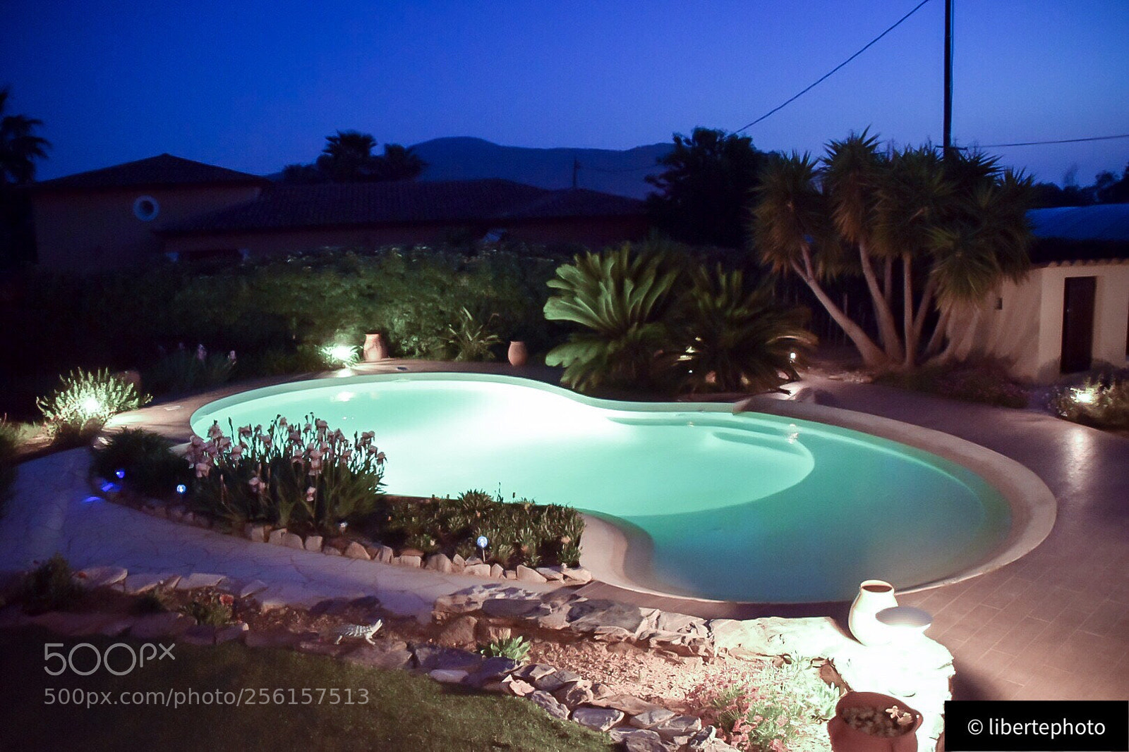 Nikon D5300 sample photo. This summer photography