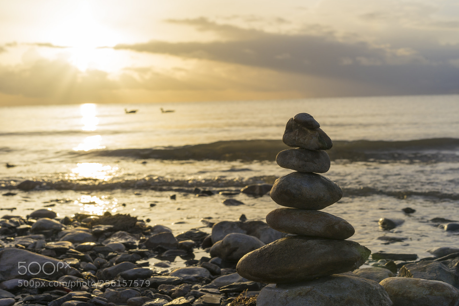 Sony a7 II sample photo. Morning photography