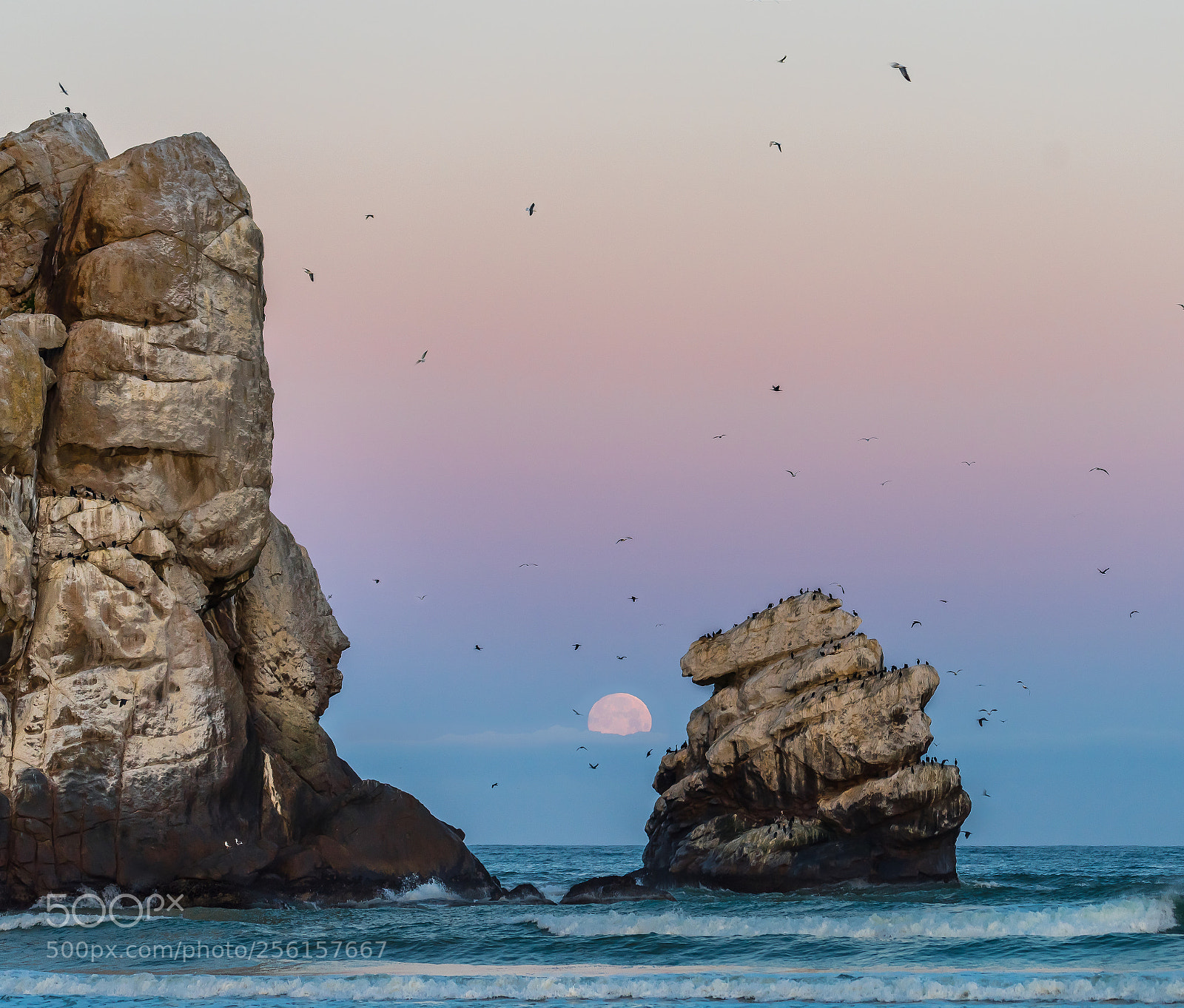 Pentax K-1 sample photo. Moonset photography