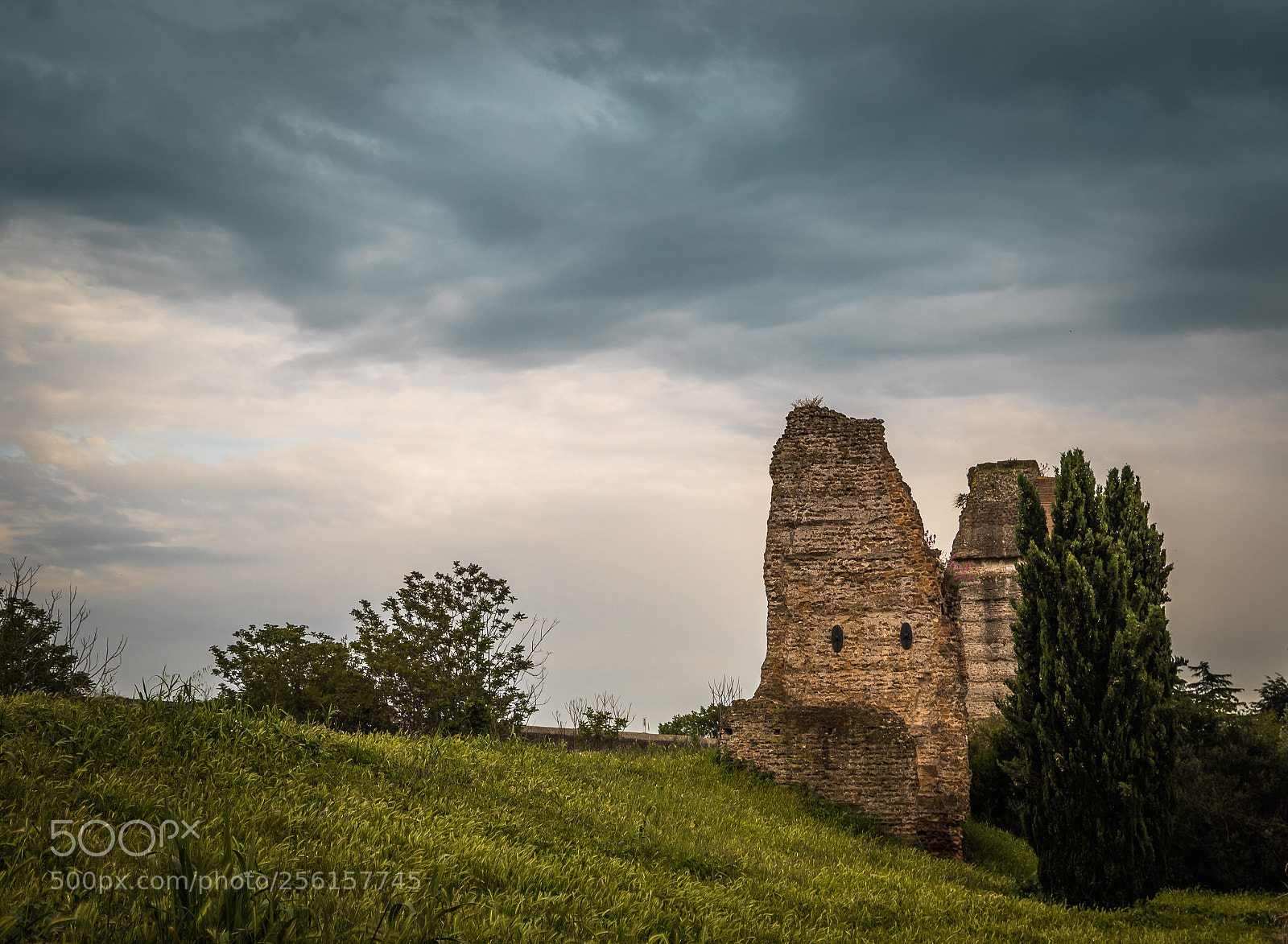 Canon EOS 6D Mark II sample photo. Ruderi photography