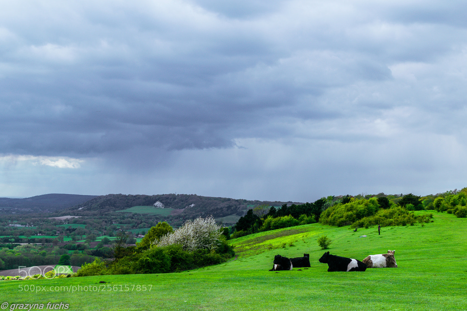 Nikon D3300 sample photo. Reigate hill photography