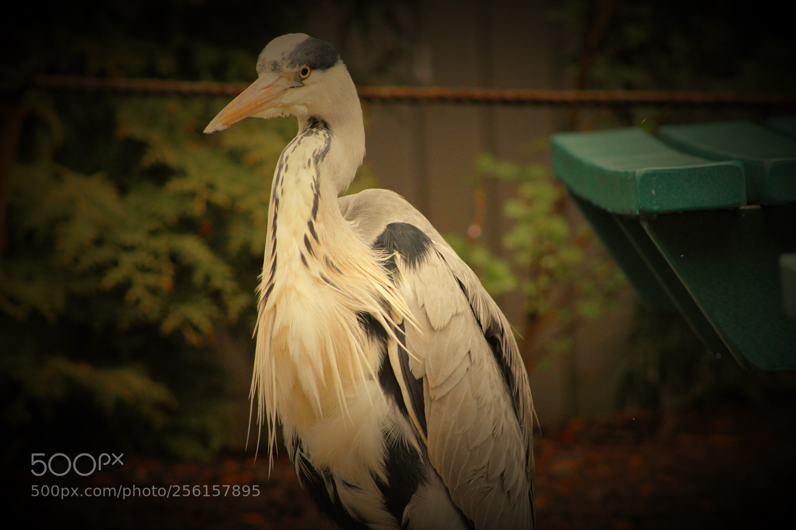 Canon EOS 1300D (EOS Rebel T6 / EOS Kiss X80) sample photo. Hunters photography