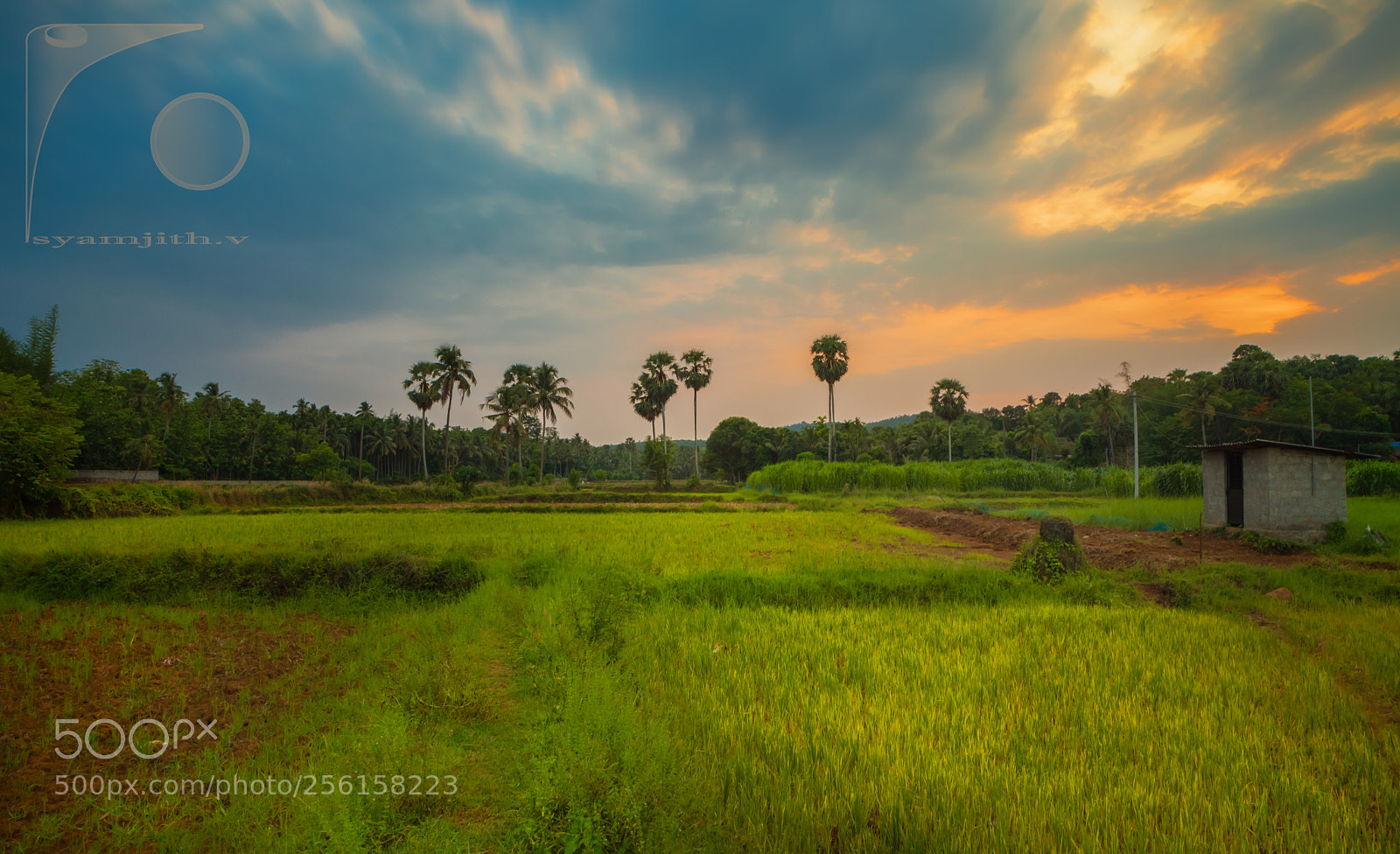 Canon EOS 5D Mark II sample photo. Sunset photography
