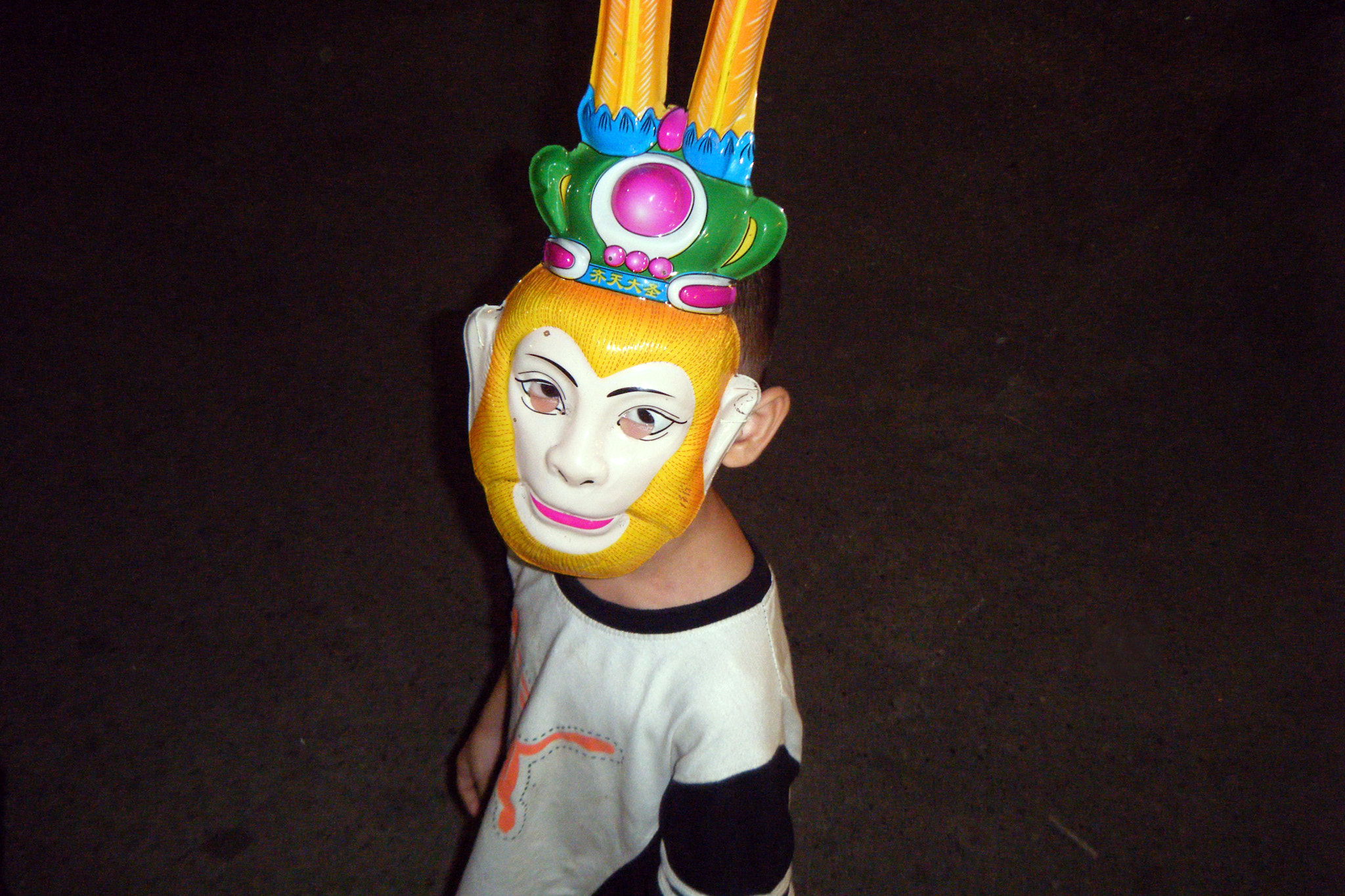 Fujifilm FinePix Z33WP sample photo. Mask face photography