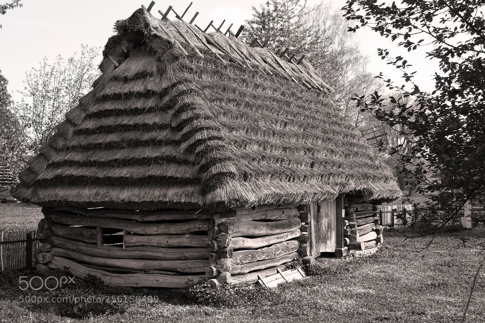 Nikon D500 sample photo. Wooden hut photography