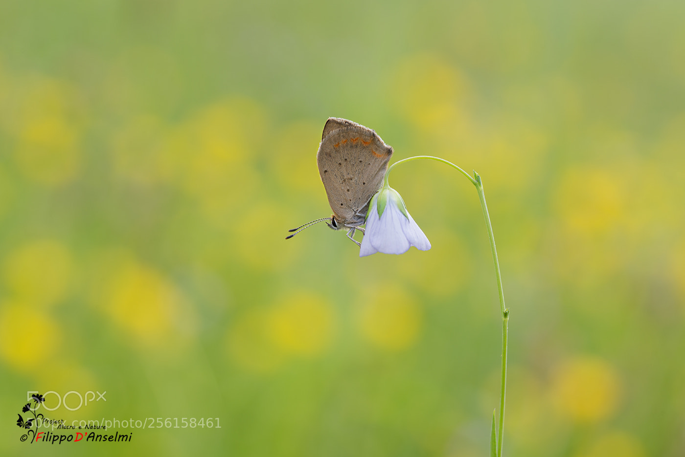 Nikon D610 sample photo. Equilibrium. . photography