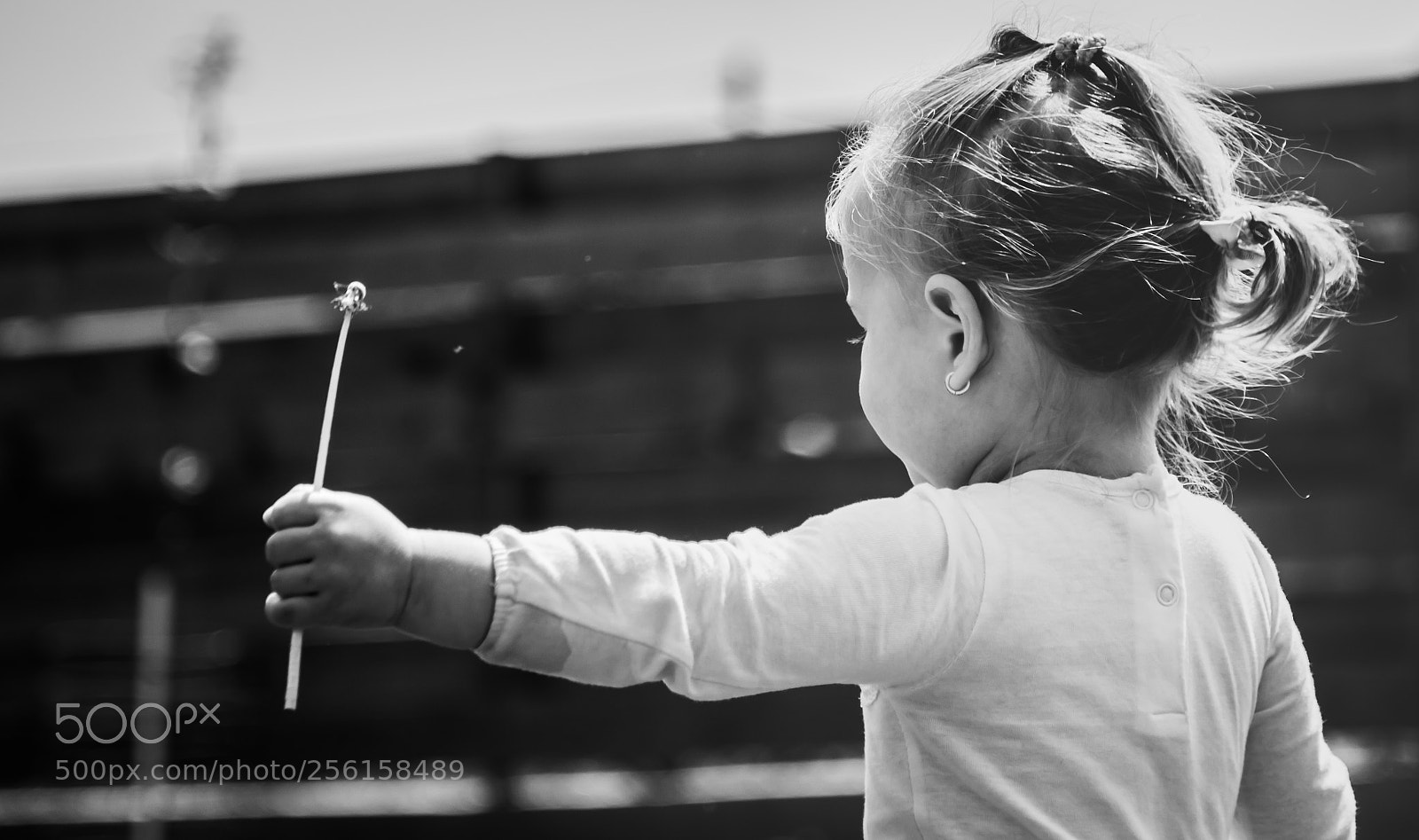 Canon EOS 700D (EOS Rebel T5i / EOS Kiss X7i) sample photo. My baby girl photography
