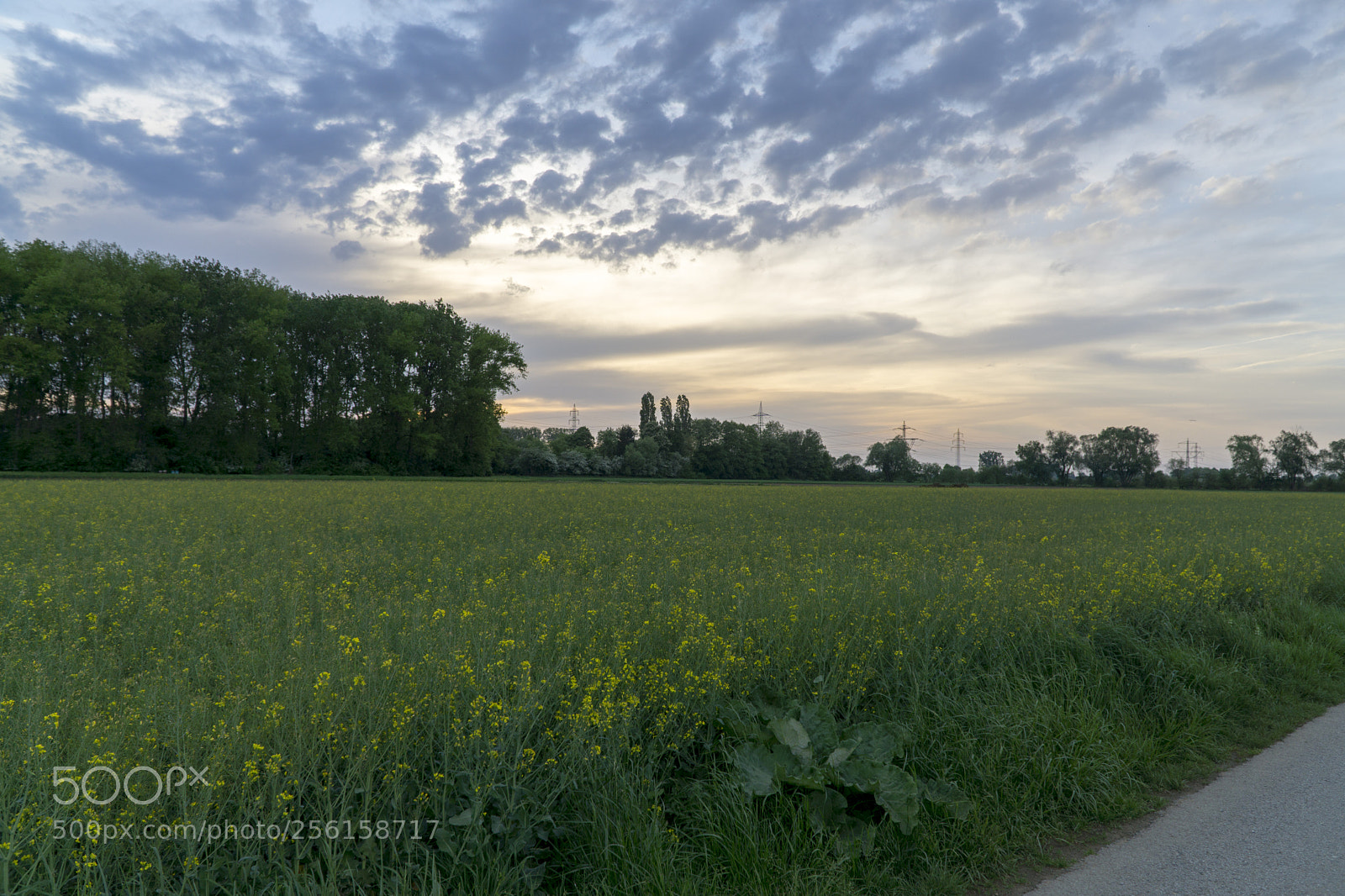 Sony a6000 sample photo. Dsc photography