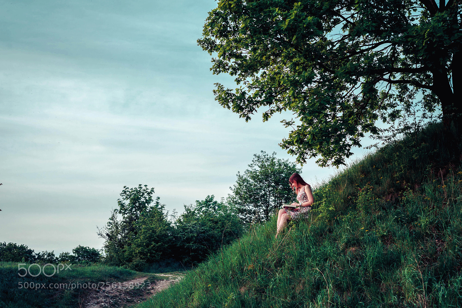 Canon EOS 5D Mark II sample photo. Alexandra photography