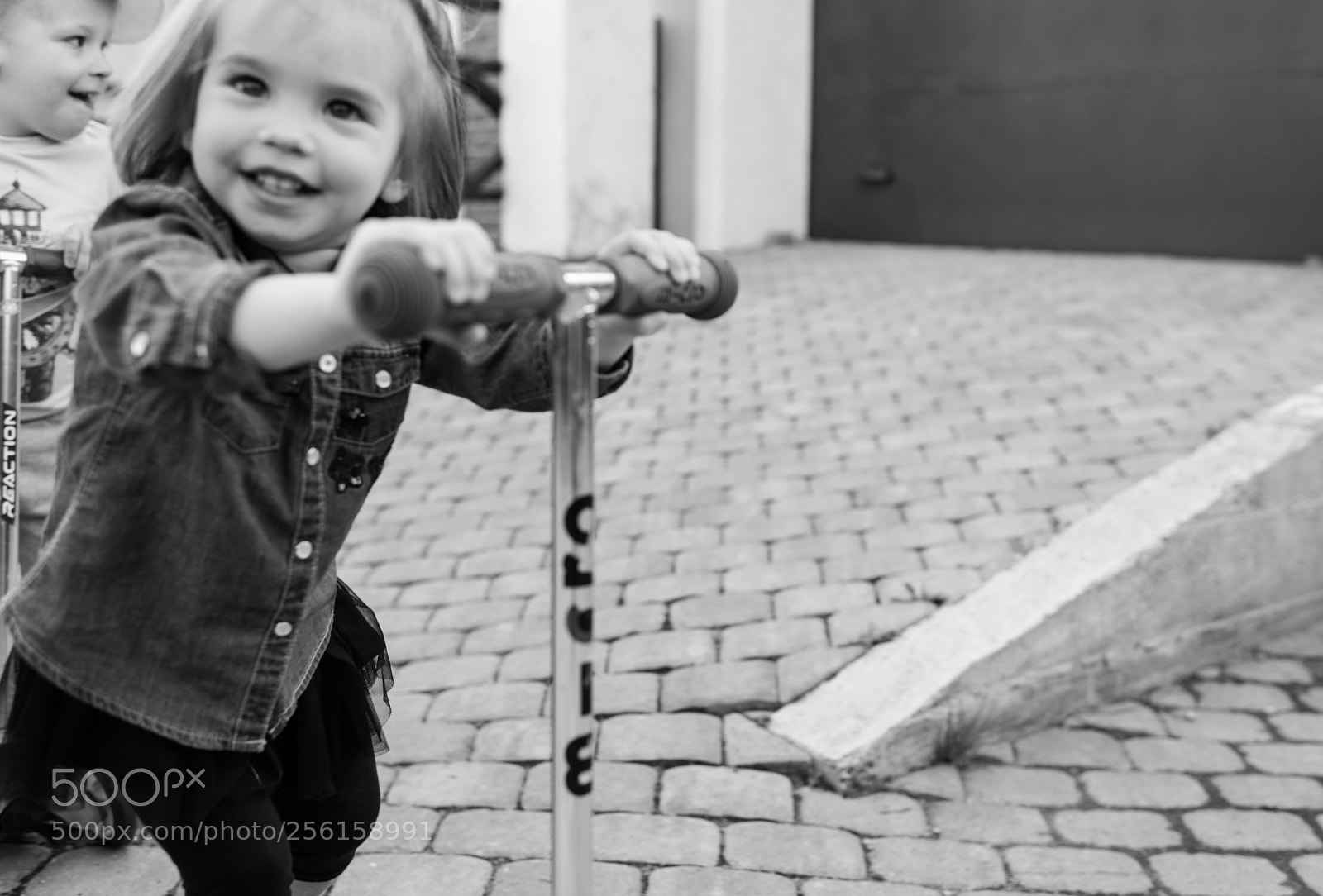 Nikon D800E sample photo. Untitled photography