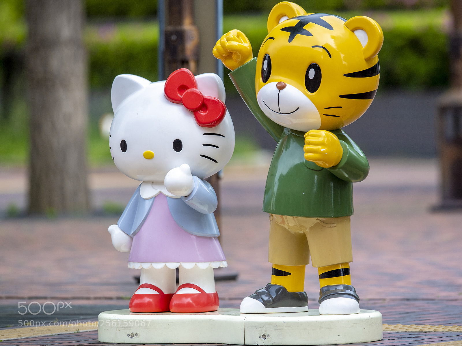 Nikon D5 sample photo. Local idol 1 photography