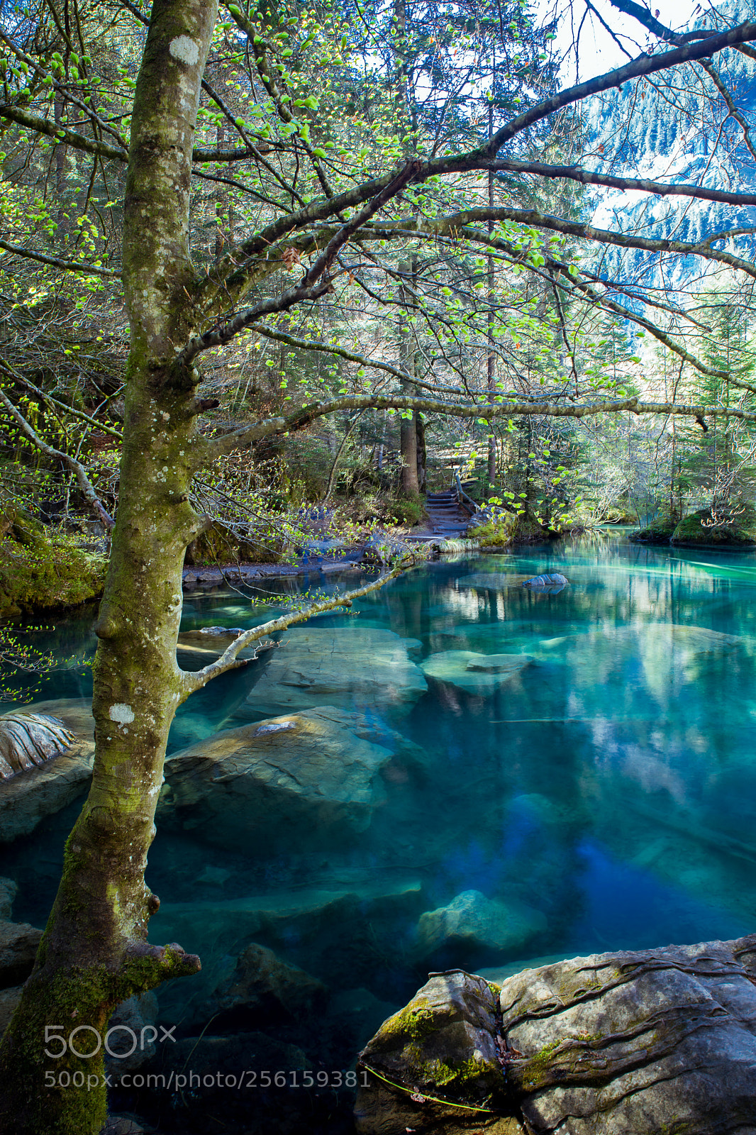 Canon EOS 5D Mark IV sample photo. Lac bleu - oberland photography