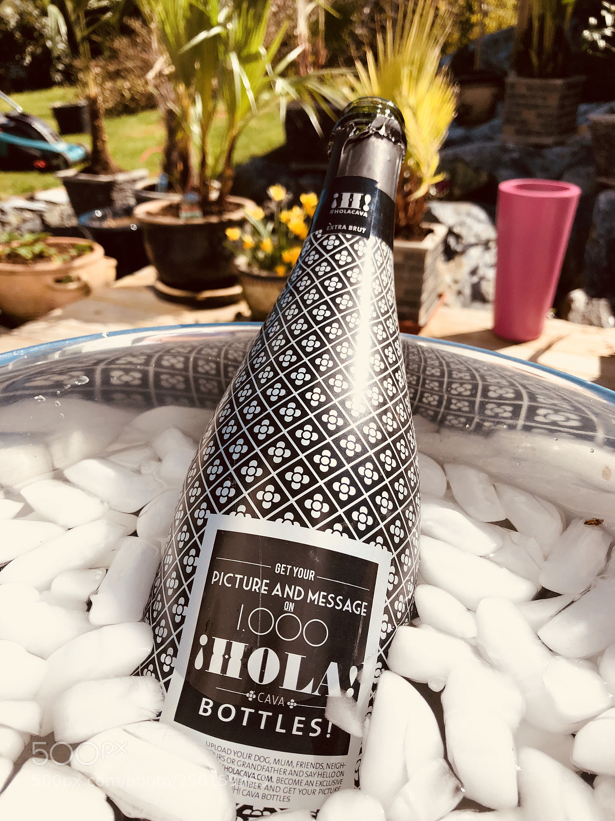 Apple iPhone 8 Plus sample photo. Cheers photography