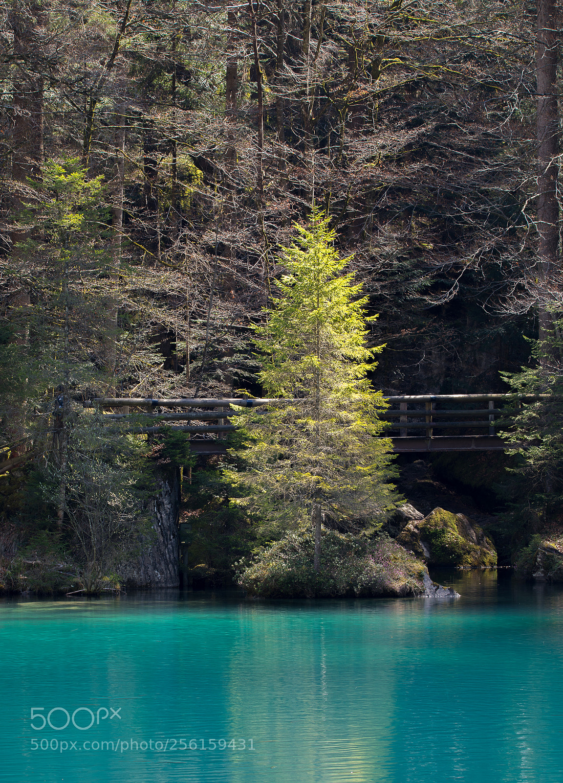 Canon EOS 5D Mark IV sample photo. Lac bleu - oberland photography