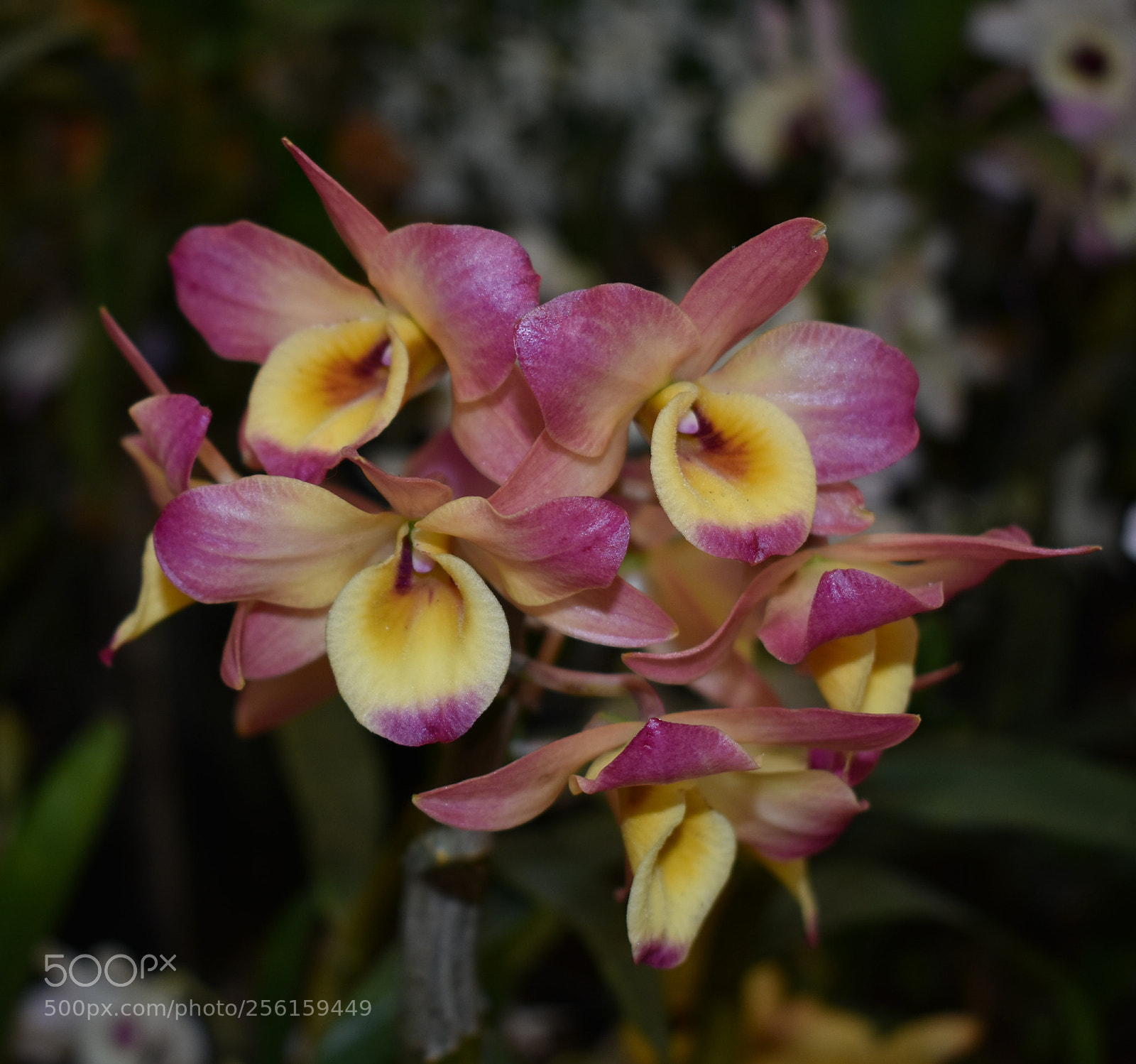 Nikon D3400 sample photo. Untitled photography