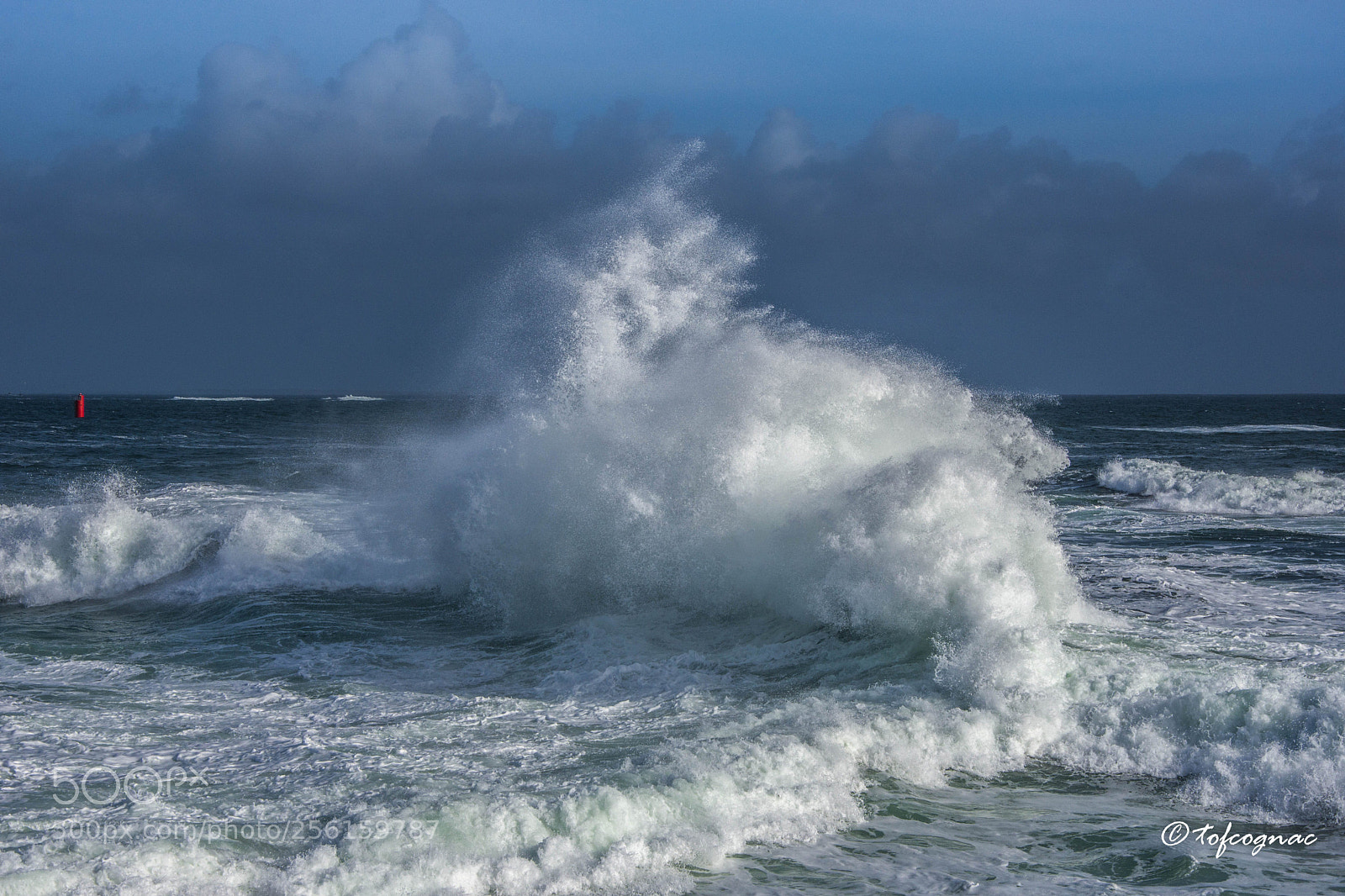 Nikon D7200 sample photo. Vague photography