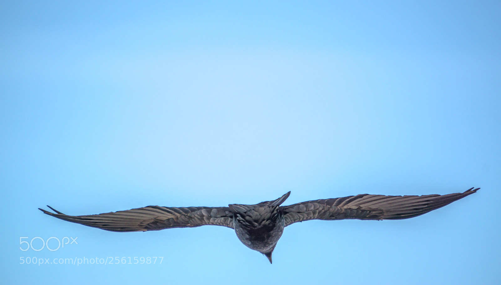 Sony a6000 sample photo. Below the glide path photography