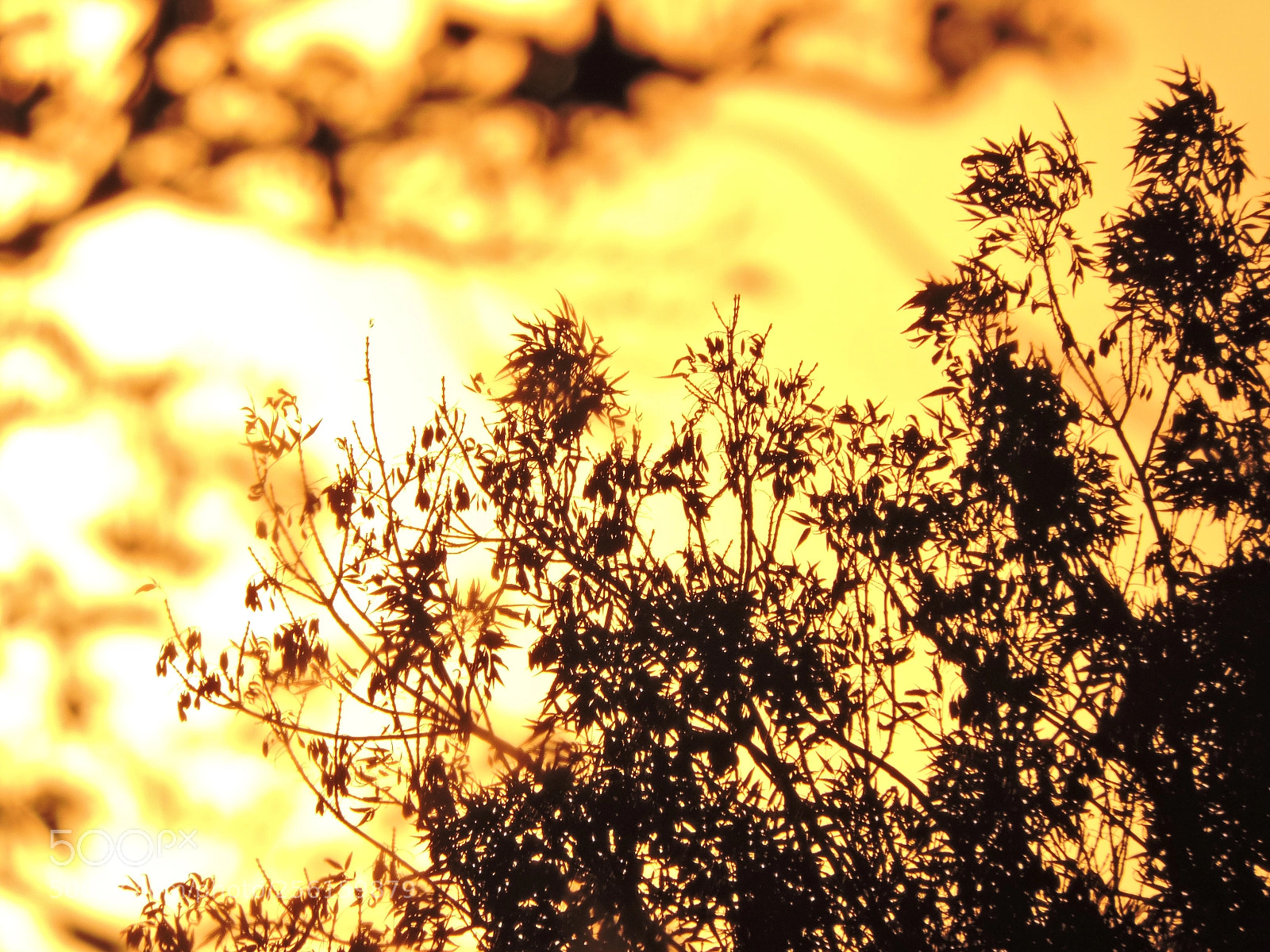 Nikon Coolpix P600 sample photo. Sunset colour  photography