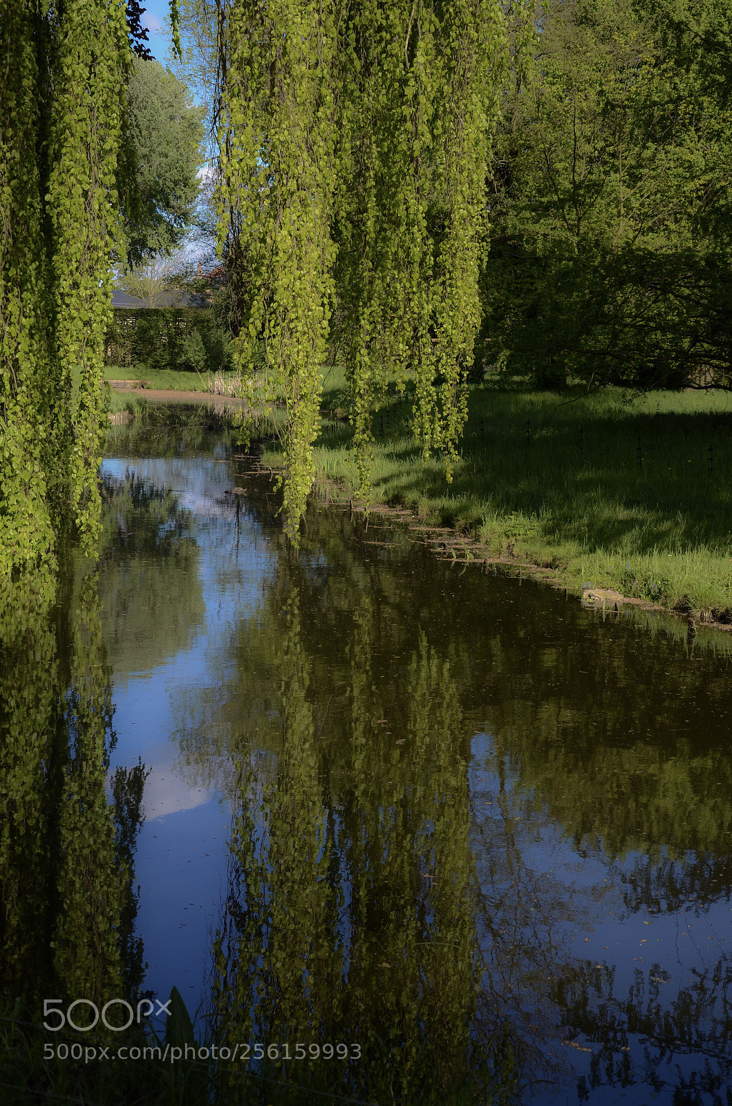 Nikon D7000 sample photo. Reflexion  photography