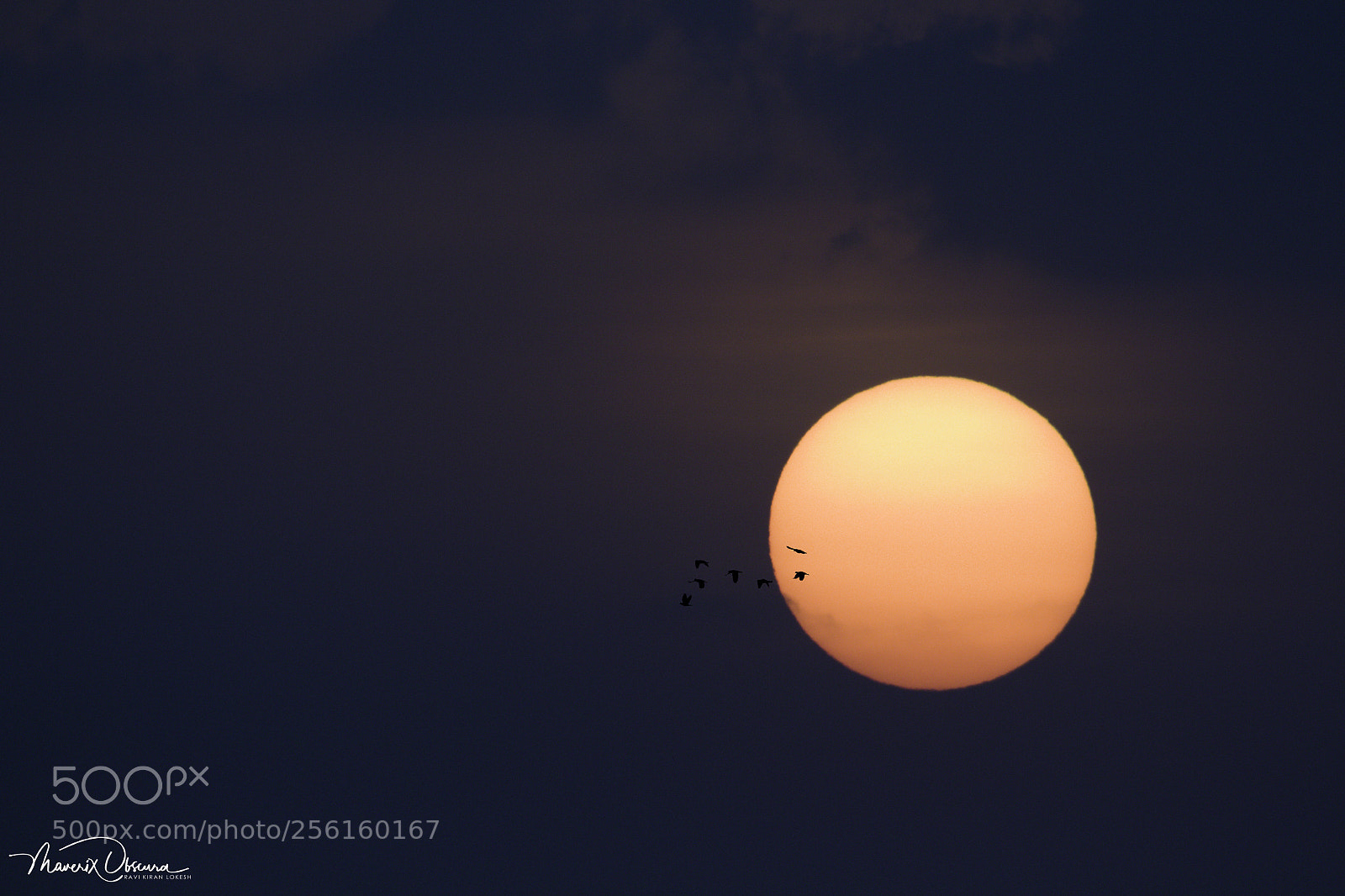 Canon EOS 700D (EOS Rebel T5i / EOS Kiss X7i) sample photo. A dreamy sunset! photography