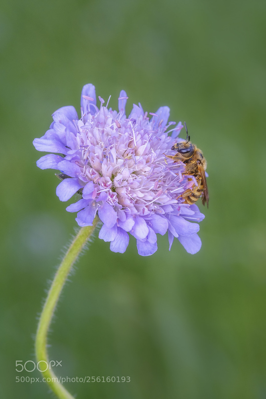 Fujifilm X-T2 sample photo. Kurze auszeit auf der photography