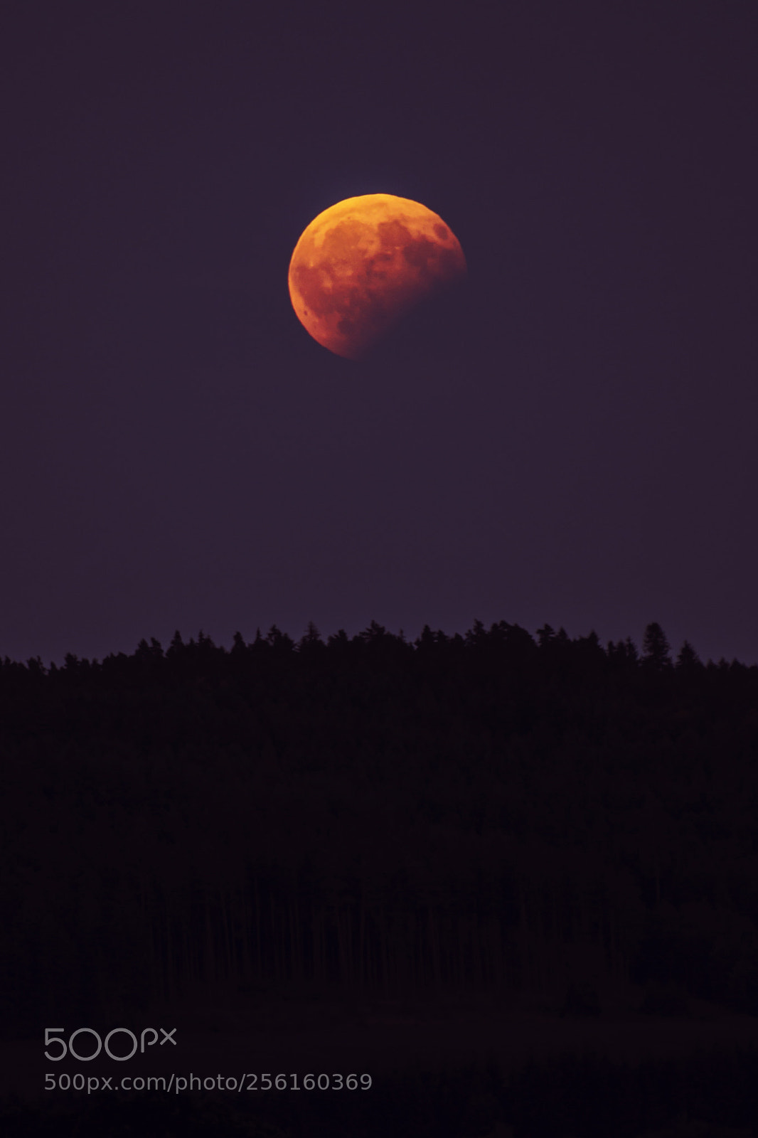 Canon EOS 600D (Rebel EOS T3i / EOS Kiss X5) sample photo. Eclipse of the moon photography