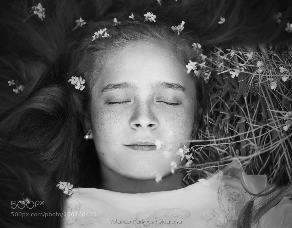 Nikon D7100 sample photo. D jame que sue photography